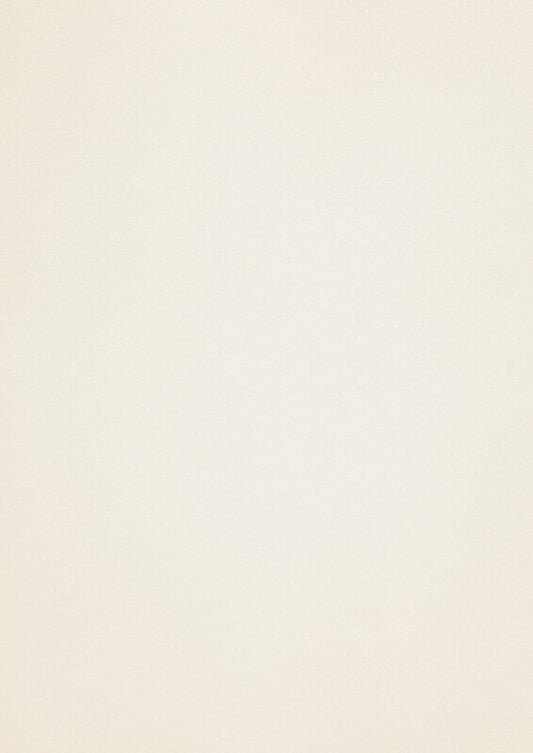 Rives Tradition Natural White 170g 125 A4-ark