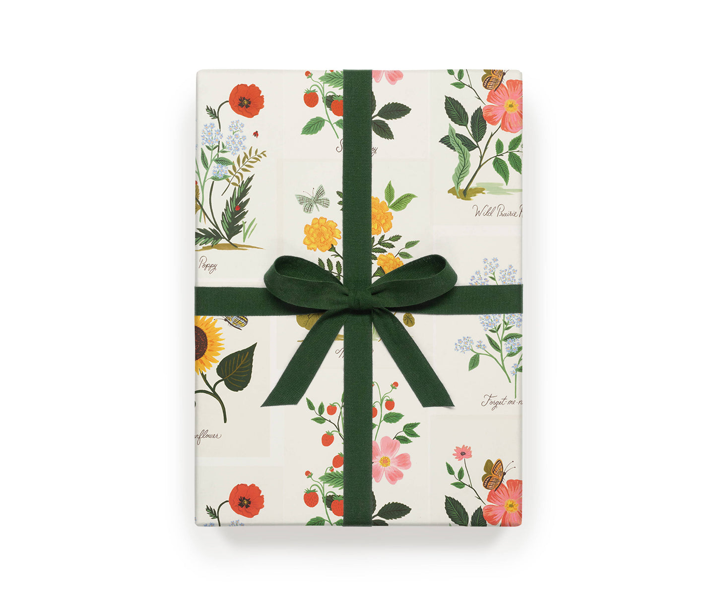 Rifle Paper Botanical Single sheet