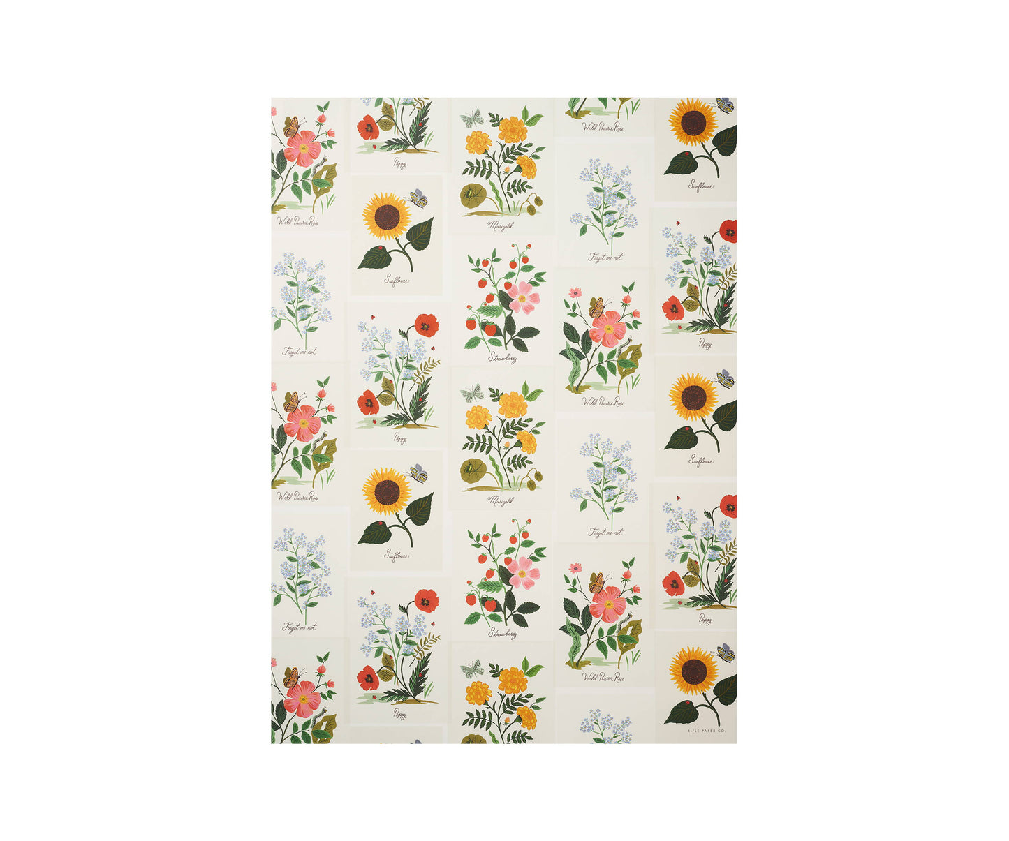 Rifle Paper Botanical Single sheet