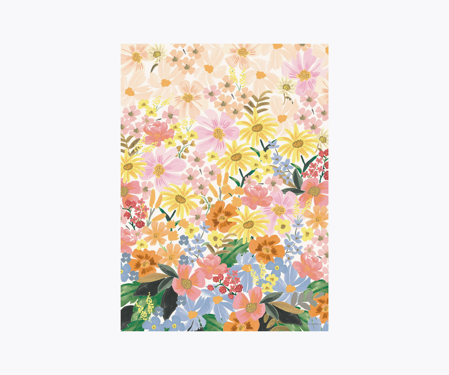 Rifle Paper Marguerite Single sheet