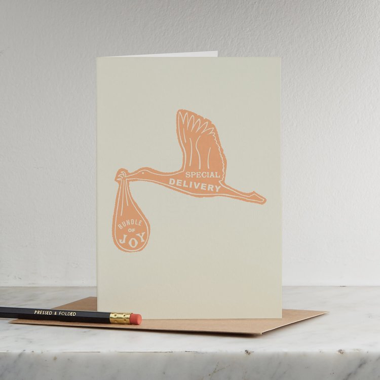 Pressed and Folded Kort - Special Delivery