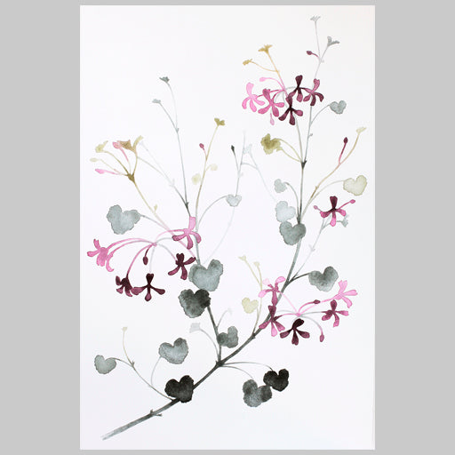 Malin Signahl Poster Flowers in June