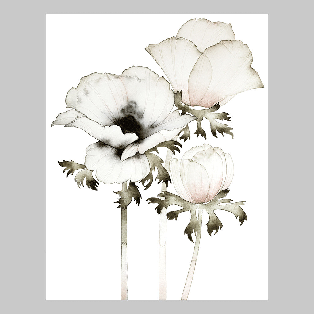 Malin Signahl Anemone Poster