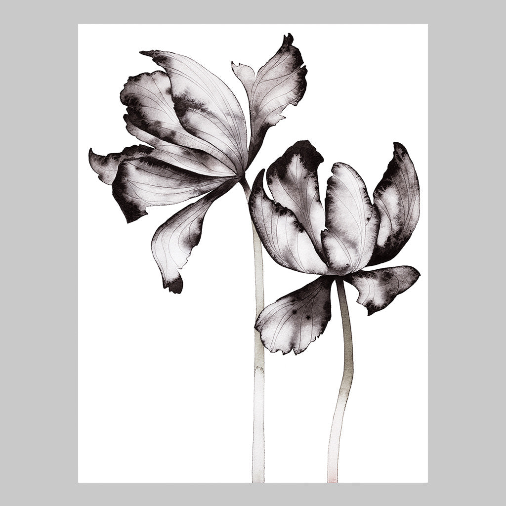 Malin Signahl Tulip Poster