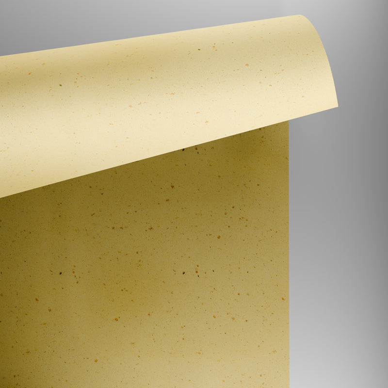 Curious Particles, Cream Rose A4, 120g - Nyhet