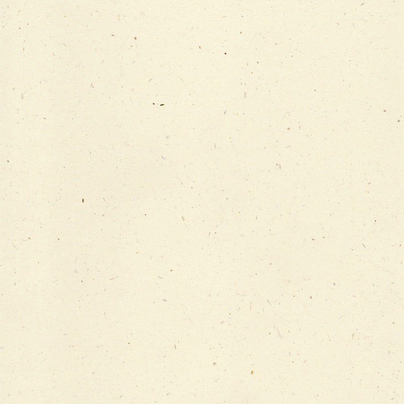 Curious Particles, Natural Lily Flower A4, 120g - Nyhet