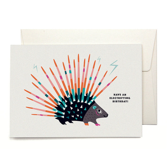 Pleased to meet Viva Porcupine