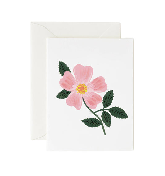 Rifle Paper Wild Prairie Rose